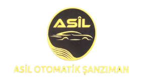 Didim Otomatik Şanzıman Servisi